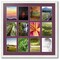 ArtToFrames Collage Photo Picture Frame with 12 - 5x7 inch Openings, Framed in White with Over 62 Mat Color Options and Plexi Glass (CSM-3966-229)